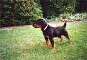 Kalle von Stemmer Bild 01