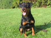 Polly von Stemmer Bild 02